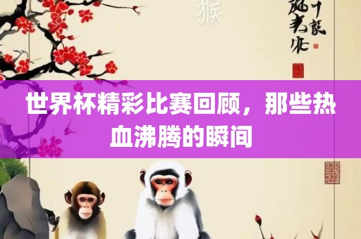 世界杯精彩比赛回顾，那些热血沸腾的瞬间