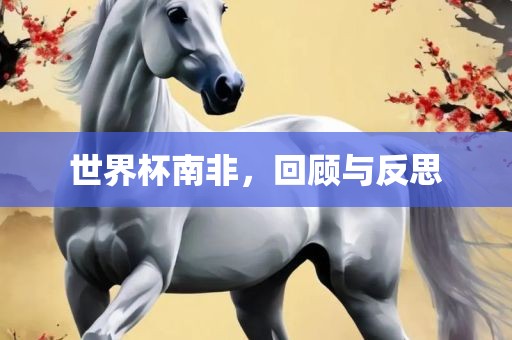 世界杯南非，回顾与反思