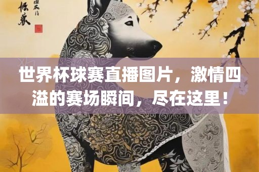 世界杯球赛直播图片，激情四溢的赛场瞬间，尽在这里！