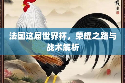 法国这届世界杯，荣耀之路与战术解析