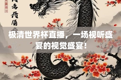 极清世界杯直播，一场视听盛宴的视觉盛宴！