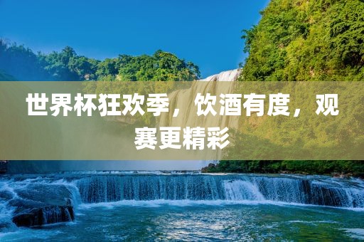 世界杯狂欢季，饮酒有度，观赛更精彩