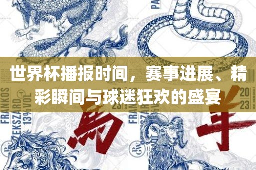 世界杯播报时间，赛事进展、精彩瞬间与球迷狂欢的盛宴