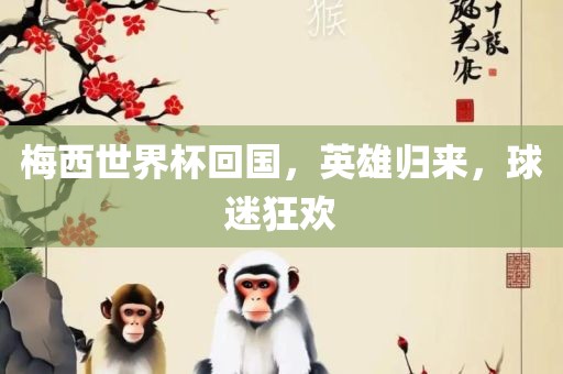 梅西世界杯回国，英雄归来，球迷狂欢