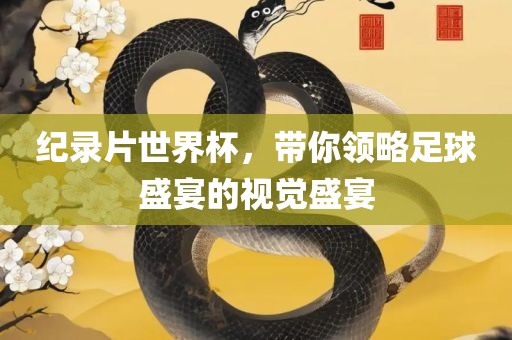 纪录片世界杯，带你领略足球盛宴的视觉盛宴
