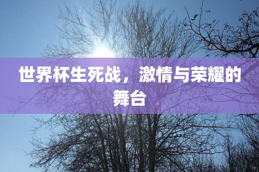 世界杯生死战，激情与荣耀的舞台