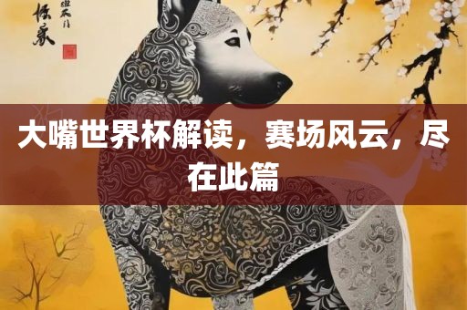 大嘴世界杯解读，赛场风云，尽在此篇