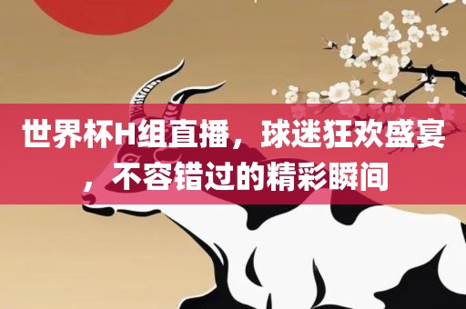 世界杯H组直播，球迷狂欢盛宴，不容错过的精彩瞬间