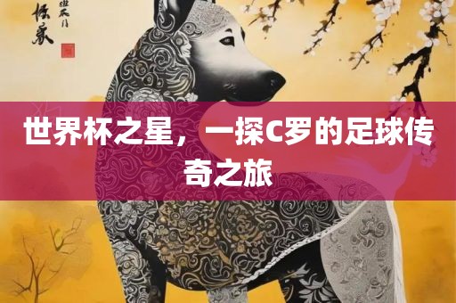 世界杯之星，一探C罗的足球传奇之旅
