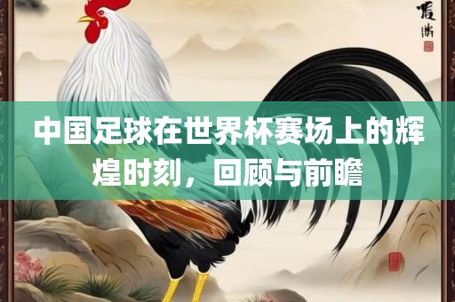 中国足球在世界杯赛场上的辉煌时刻，回顾与前瞻