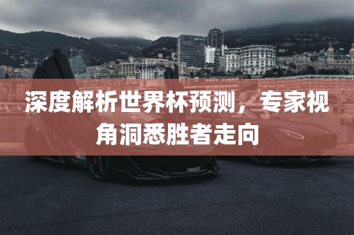 深度解析世界杯预测，专家视角洞悉胜者走向