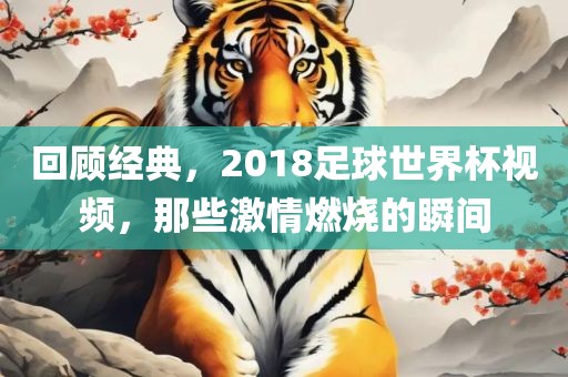 回顾经典，2018足球世界杯视频，那些激情燃烧的瞬间