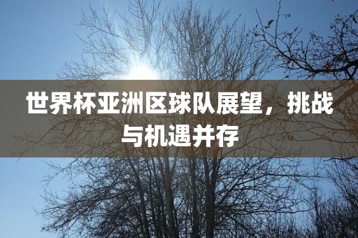 世界杯亚洲区球队展望，挑战与机遇并存