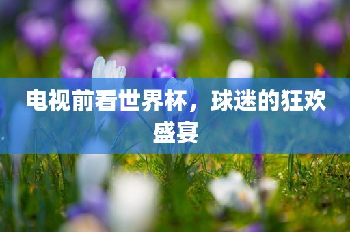 电视前看世界杯，球迷的狂欢盛宴