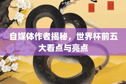 自媒体作者揭秘，世界杯前五大看点与亮点