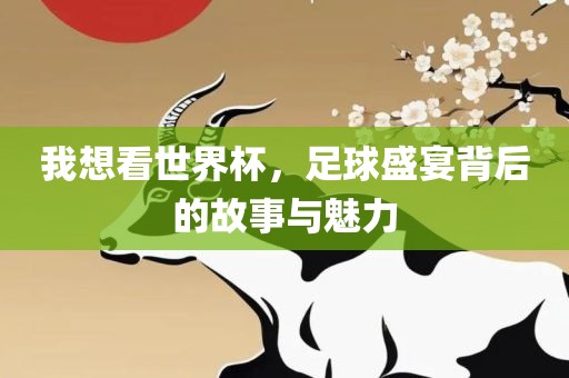 我想看世界杯，足球盛宴背后的故事与魅力