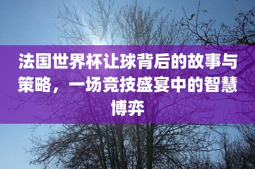 法国世界杯让球背后的故事与策略，一场竞技盛宴中的智慧博弈
