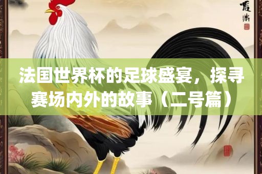法国世界杯的足球盛宴，探寻赛场内外的故事（二号篇）