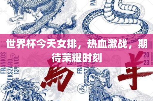 世界杯今天女排，热血激战，期待荣耀时刻