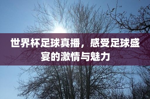 世界杯足球真播，感受足球盛宴的激情与魅力