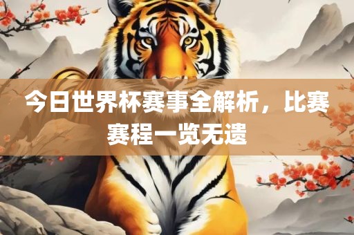 今日世界杯赛事全解析，比赛赛程一览无遗