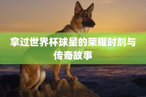 拿过世界杯球星的荣耀时刻与传奇故事