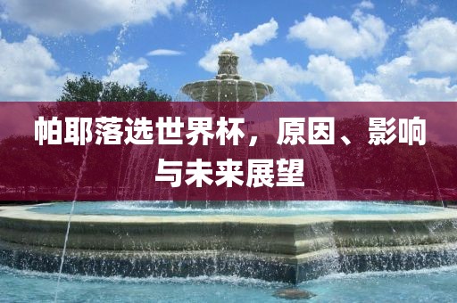 帕耶落选世界杯，原因、影响与未来展望