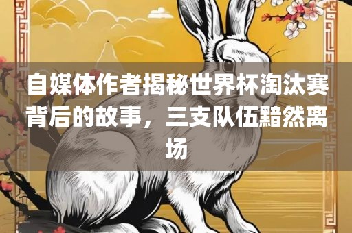 自媒体作者揭秘世界杯淘汰赛背后的故事，三支队伍黯然离场