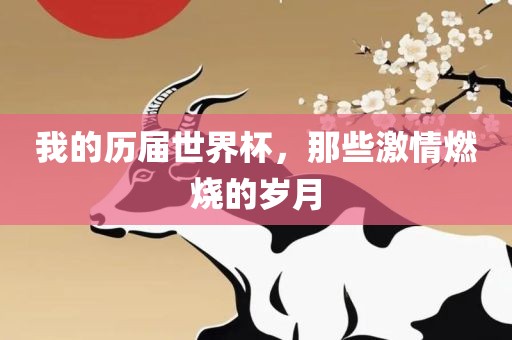 我的历届世界杯，那些激情燃烧的岁月