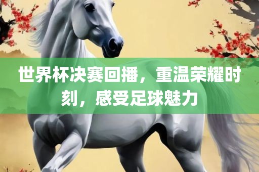 世界杯决赛回播，重温荣耀时刻，感受足球魅力