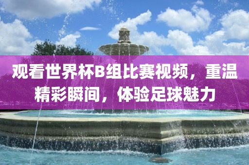 观看世界杯B组比赛视频，重温精彩瞬间，体验足球魅力