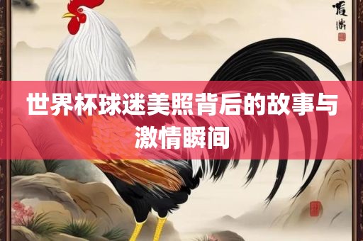 世界杯球迷美照背后的故事与激情瞬间