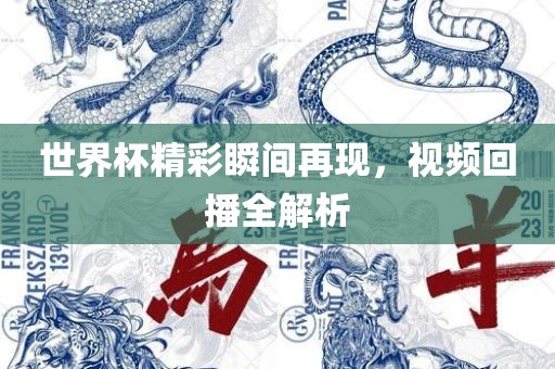 世界杯精彩瞬间再现，视频回播全解析
