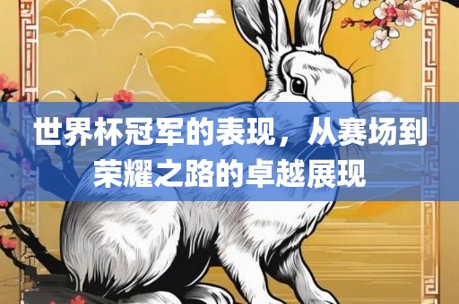世界杯冠军的表现，从赛场到荣耀之路的卓越展现