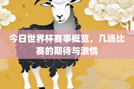 今日世界杯赛事概览，几场比赛的期待与激情
