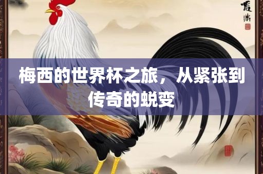 梅西的世界杯之旅，从紧张到传奇的蜕变