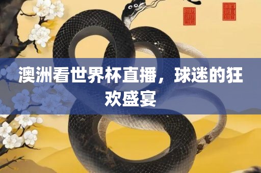 澳洲看世界杯直播，球迷的狂欢盛宴