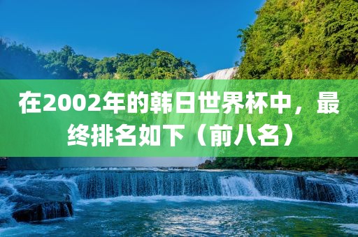 在2002年的韩日世界杯中，最终排名如下（前八名）