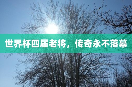 世界杯四届老将，传奇永不落幕