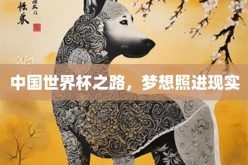 中国世界杯之路，梦想照进现实