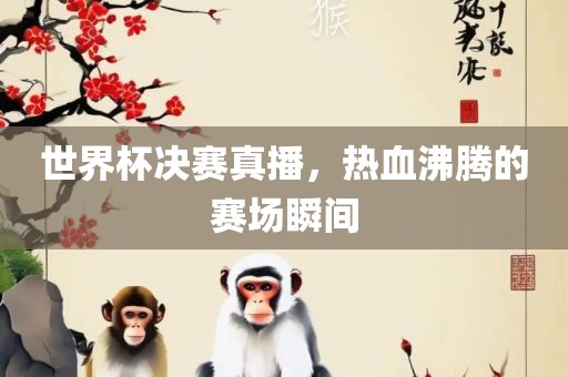 世界杯决赛真播，热血沸腾的赛场瞬间