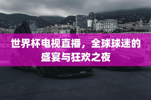 世界杯电视直播，全球球迷的盛宴与狂欢之夜