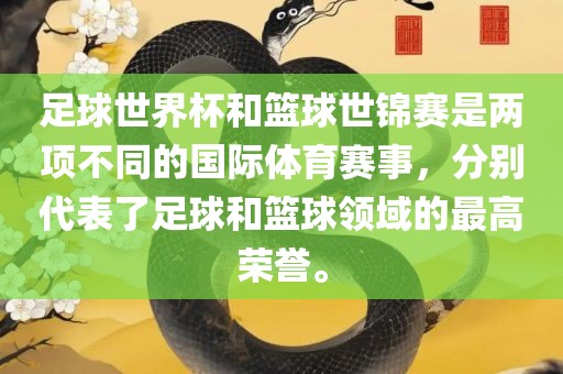 足球世界杯和篮球世锦赛是两项不同的国际体育赛事，分别代表了足球和篮球领域的最高荣誉。