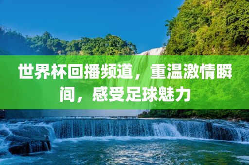 世界杯回播频道，重温激情瞬间，感受足球魅力