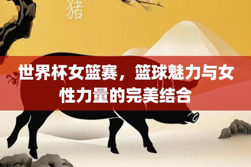 世界杯女篮赛，篮球魅力与女性力量的完美结合