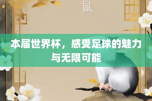 本届世界杯，感受足球的魅力与无限可能