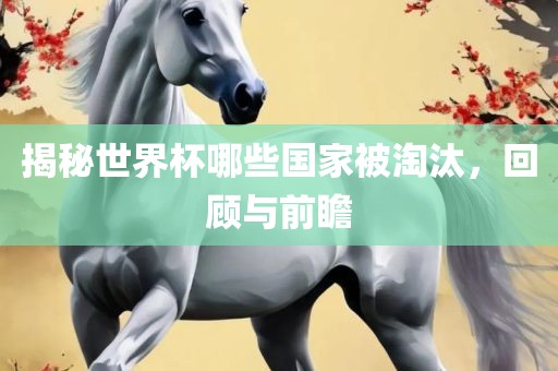 揭秘世界杯哪些国家被淘汰，回顾与前瞻