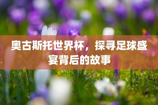 奥古斯托世界杯，探寻足球盛宴背后的故事