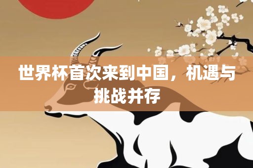 世界杯首次来到中国，机遇与挑战并存