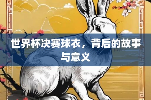 世界杯决赛球衣，背后的故事与意义